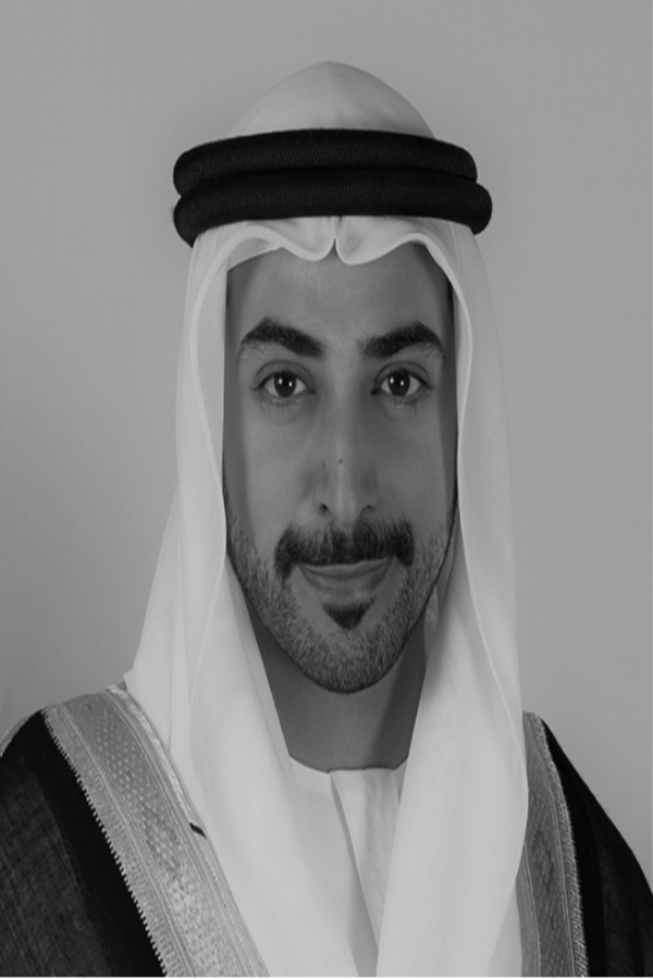 سمو الشيخ زايد بن سلطان بن خليفة آل نهيان 